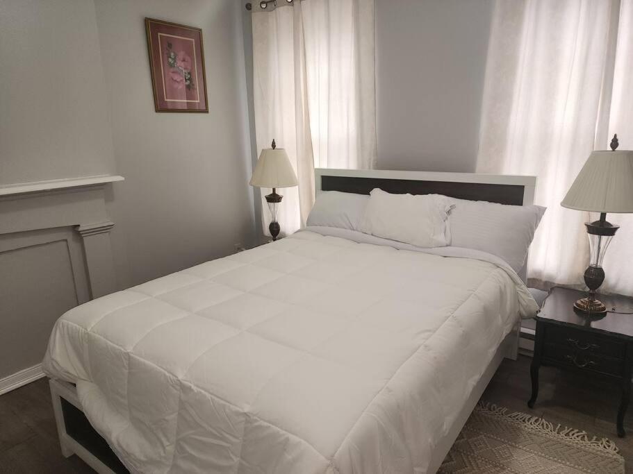 אלבני Fortune Suits And Apartment מראה חיצוני תמונה